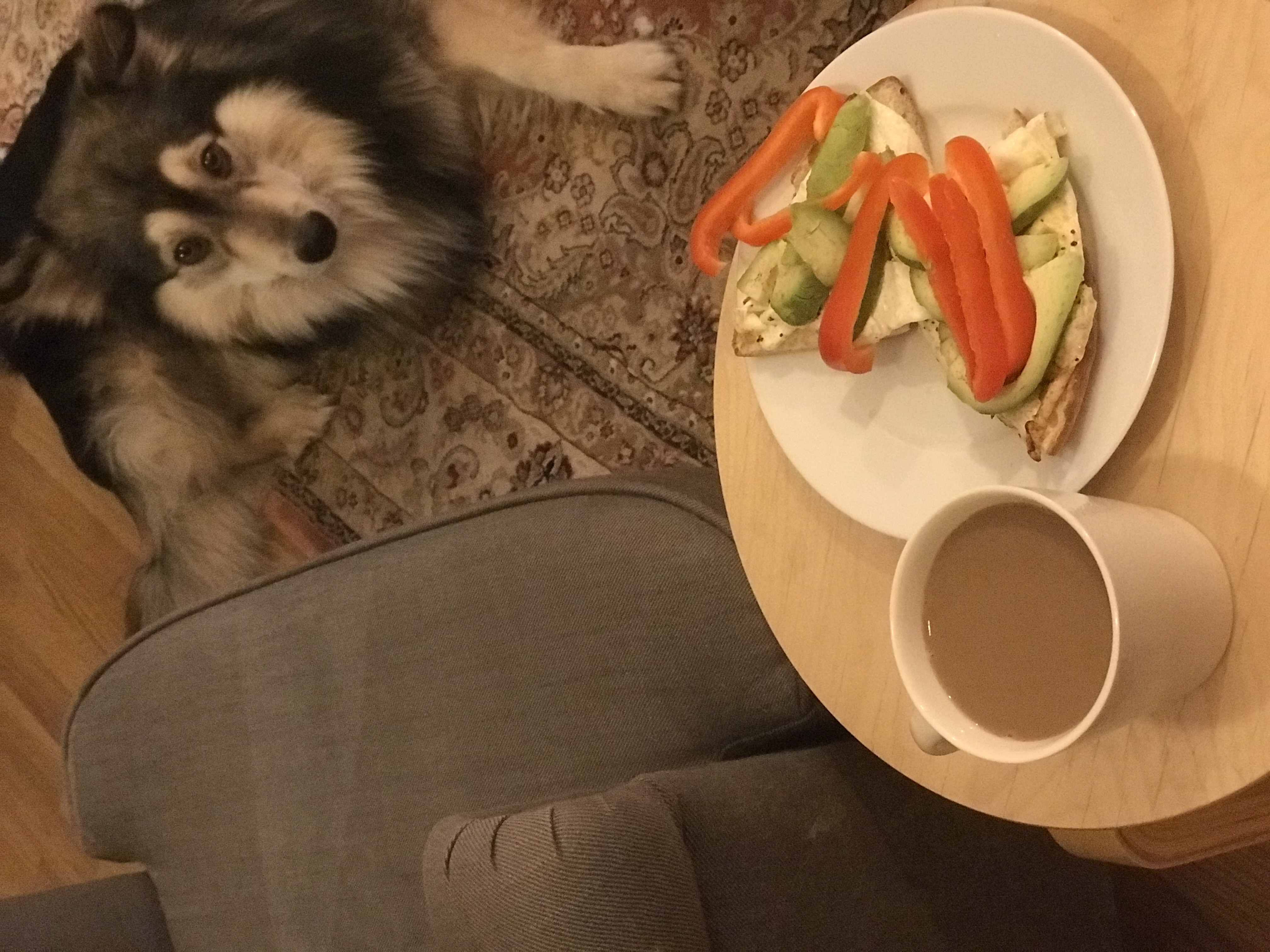 Ei koskaan yksin Kodin Kuvalehti